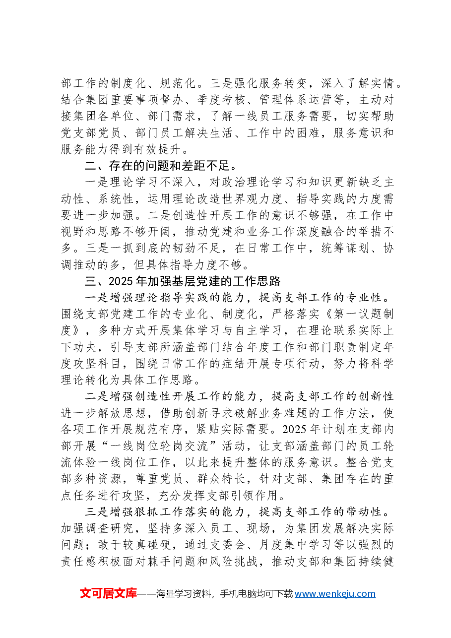 2024年党支部书记抓基层党建工作述职报告.docx,第3页预览