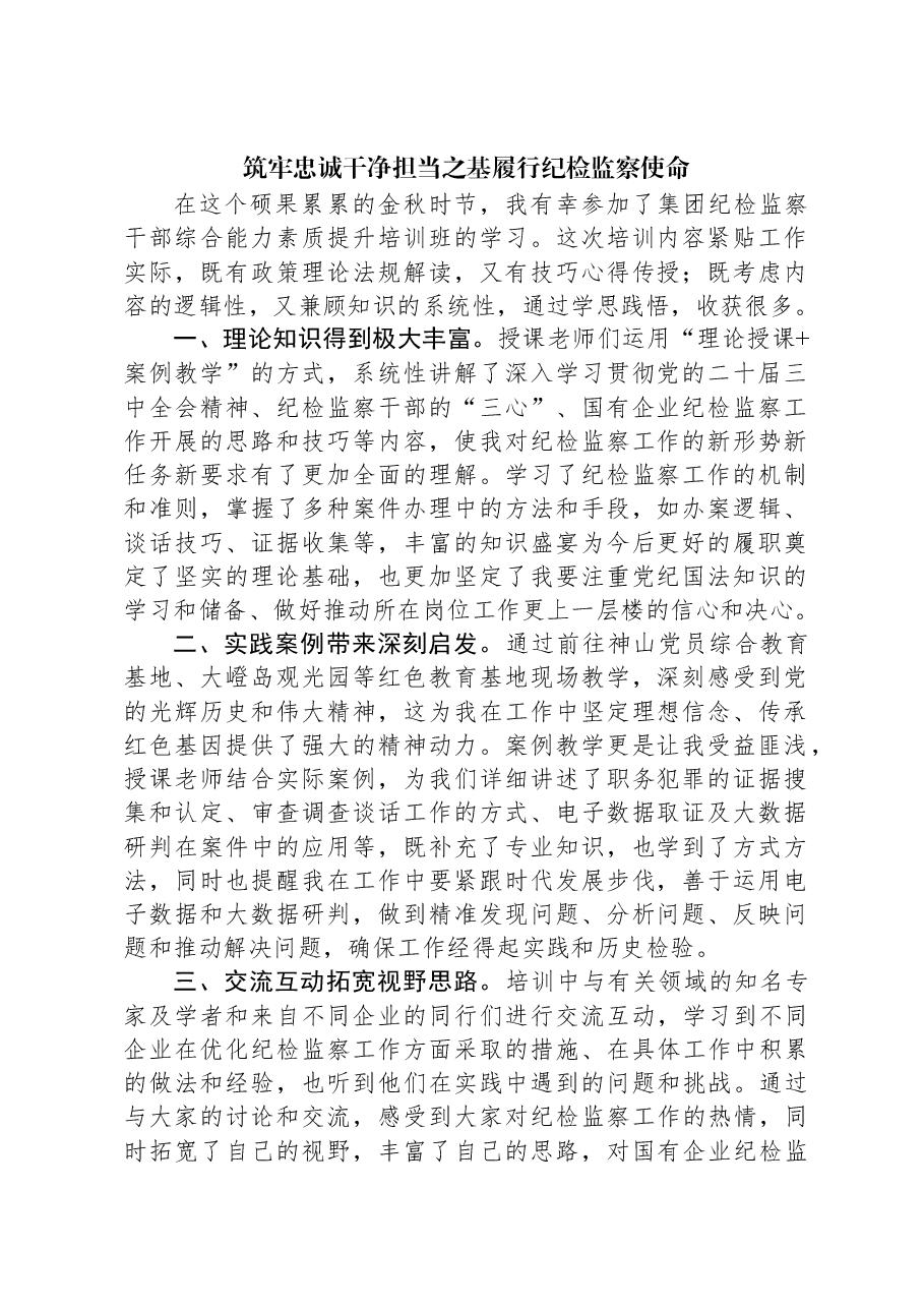 筑牢忠诚干净担当之基履行纪检监察使命.docx,第1页预览