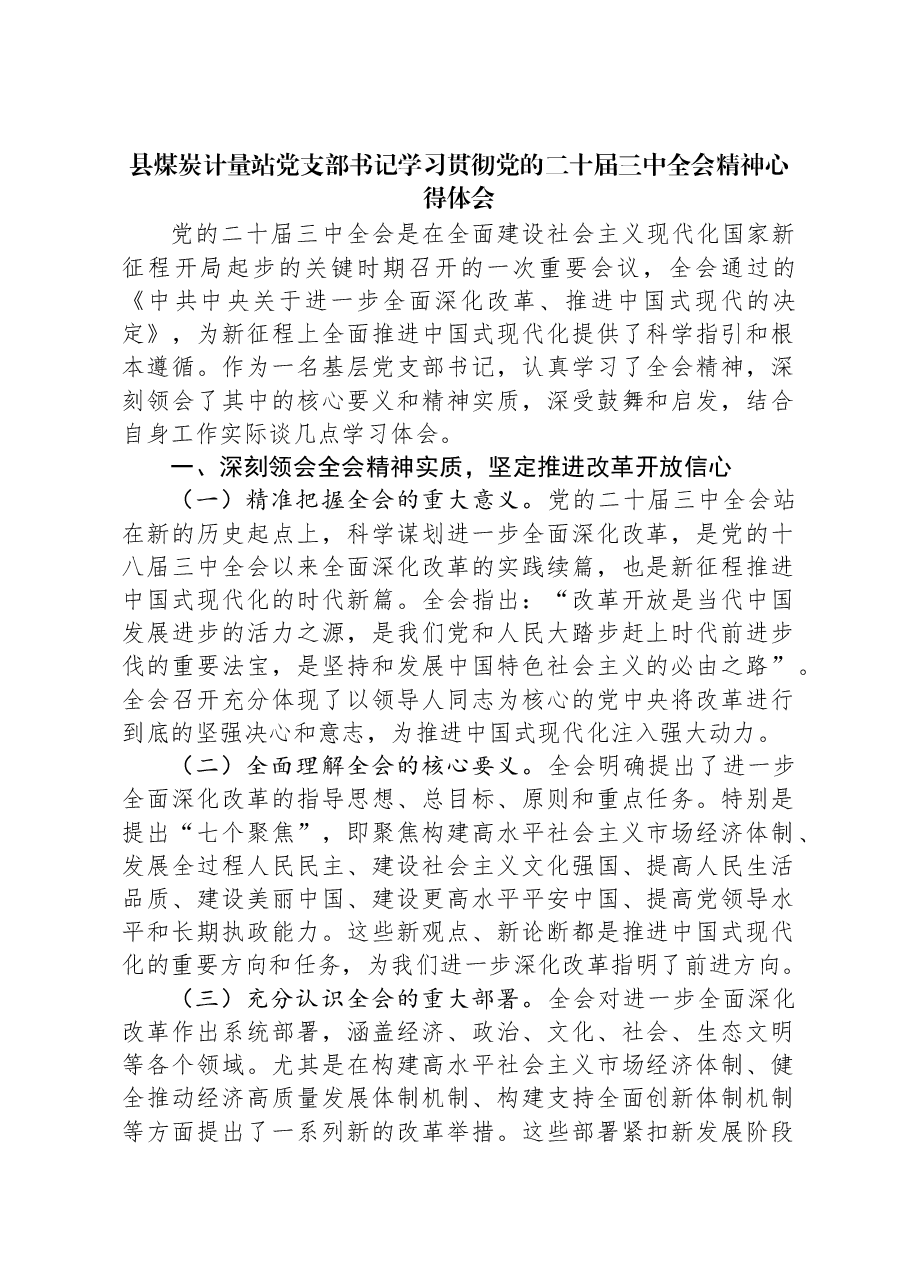 县煤炭计量站党支部书记学习贯彻党的二十届三中全会精神心得体会.docx,第1页预览