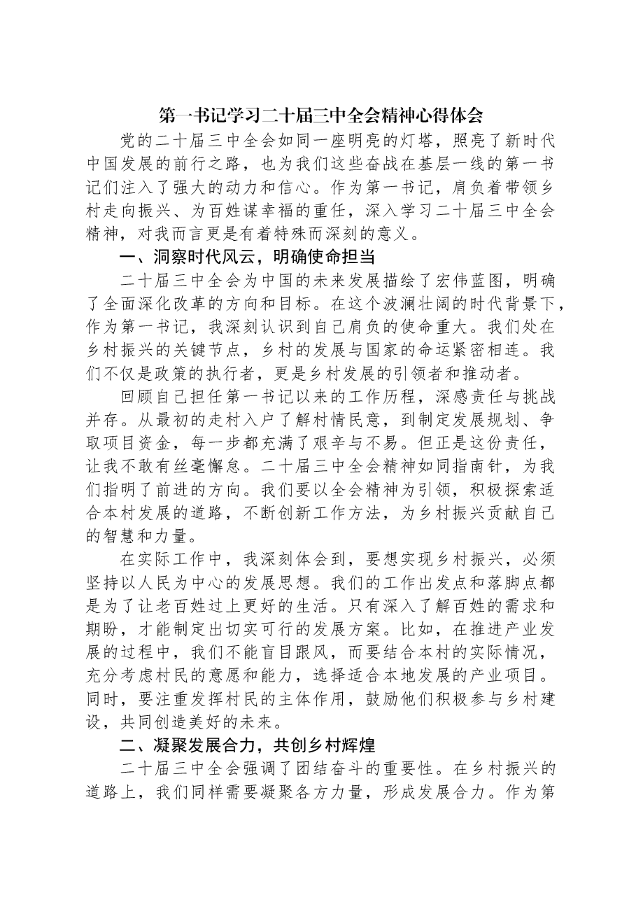 第一书记学习二十届三中全会精神心得体会.docx,第1页预览