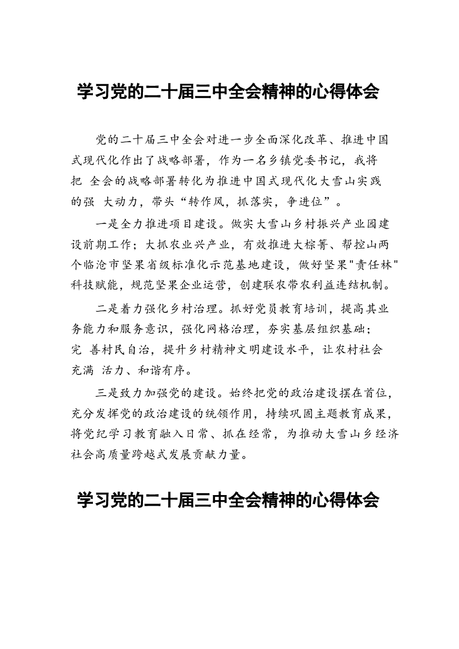 二十届三中全会精神学习心得体会精品汇编28篇.docx,第1页预览