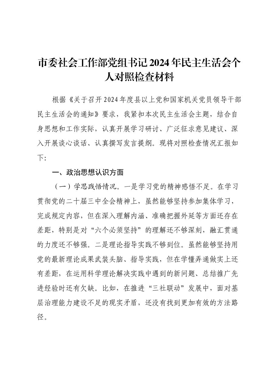 市委社会工作部党组书记2024年民主生活会个人对照检查材料.docx,第1页预览