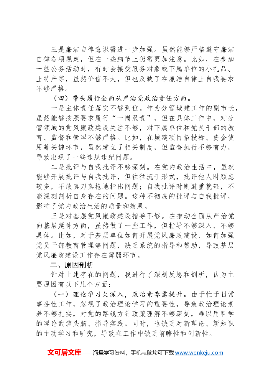 分管城建工作副市长2024年民主生活会对照检查材料.docx,第3页预览
