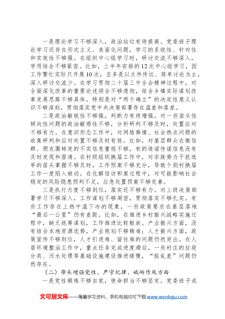 2024年度乡镇党委领导班子民主生活会对照检查材料(四个带头).docx,第3页预览