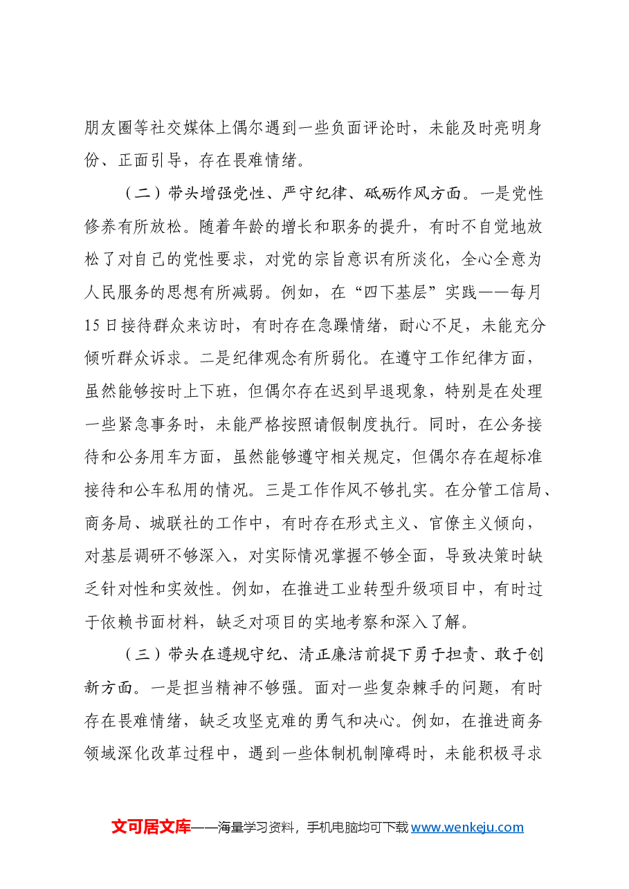 县政府班子成员2024年民主生活会个人对照检查发言材料(四个带头).docx,第2页预览