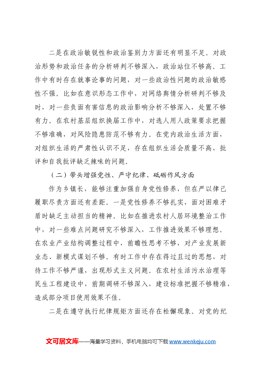 乡镇长2024年民主生活会个人对照检查发言材料四个带头.docx,第2页预览