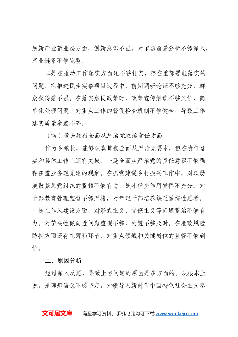 乡镇长2024年民主生活会个人对照检查发言材料(四个带头).docx,第4页预览