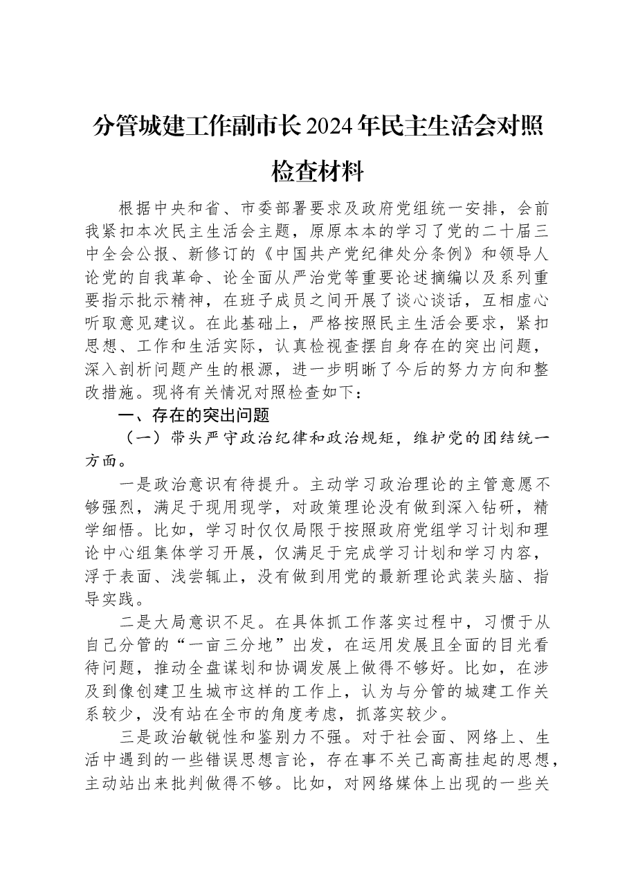 分管城建工作副市长2024年民主生活会对照检查材料.docx,第1页预览