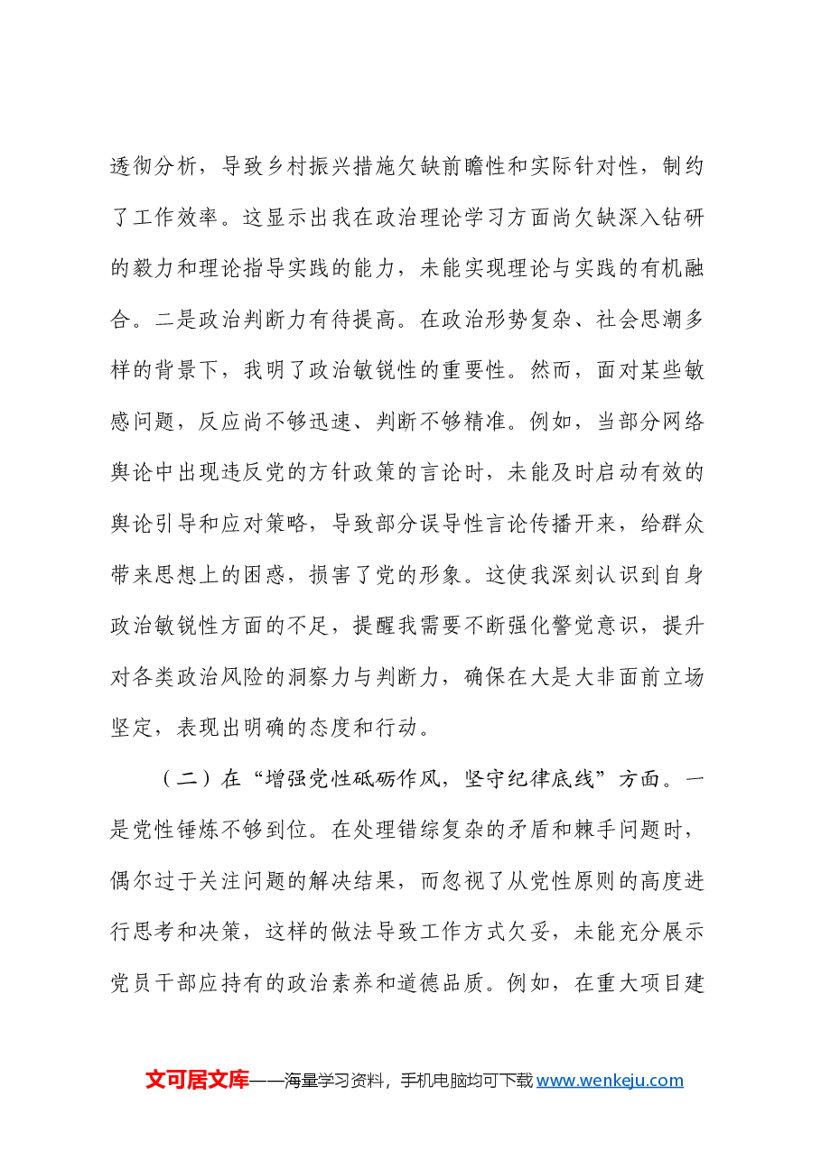 书记2024年民主生活会对照检查材料个人发言提纲.docx，第2页预览