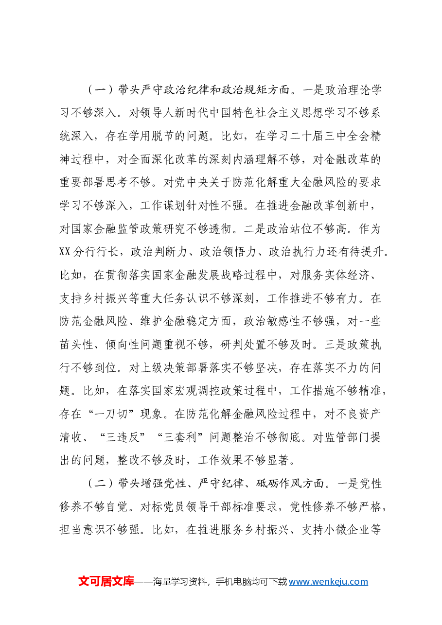 银行行长2024年度民主生活会个人对照检查材料(四个带头).docx,第2页预览