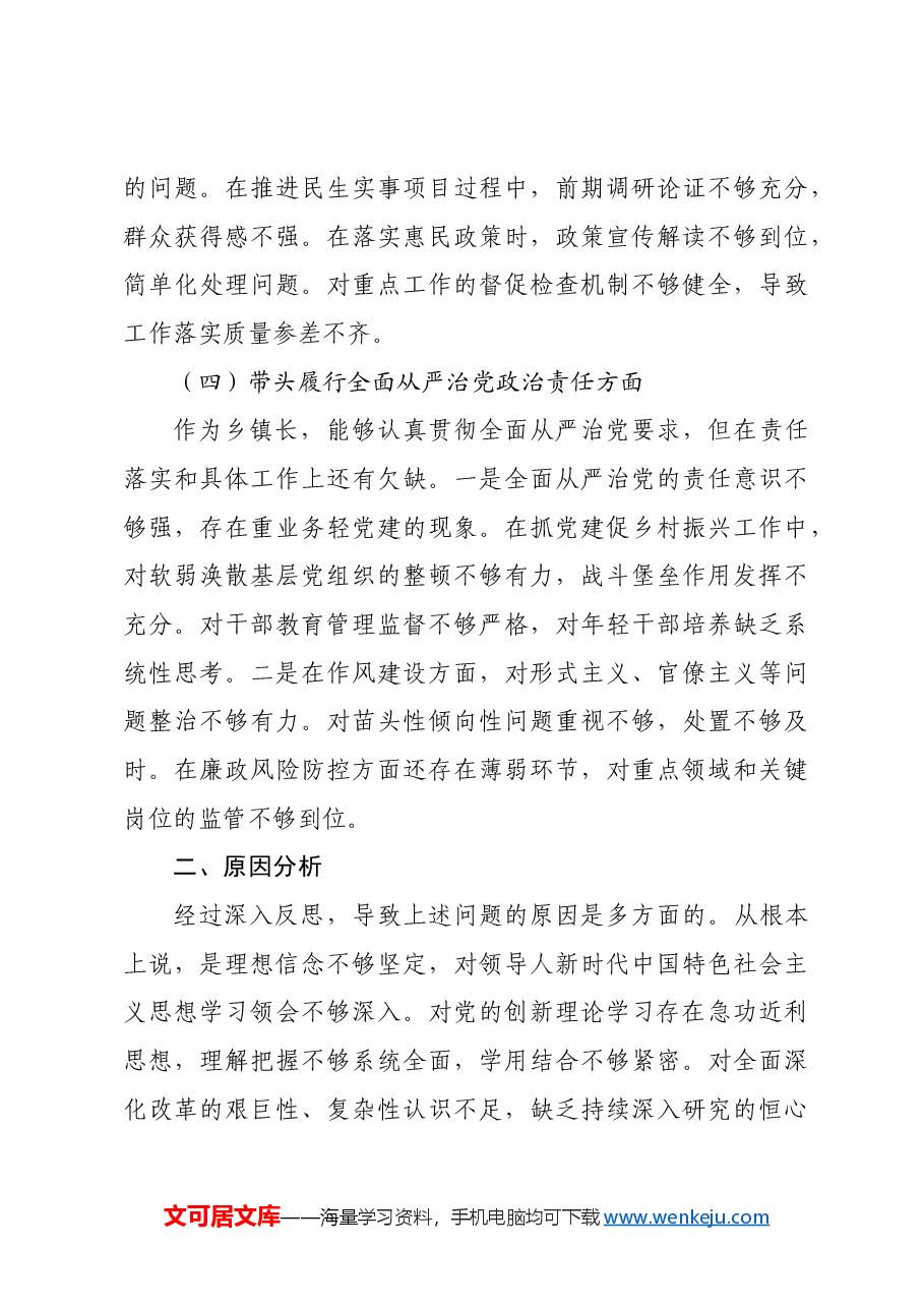 乡镇长2024年民主生活会个人对照检查发言材料四个带头.docx,第4页预览