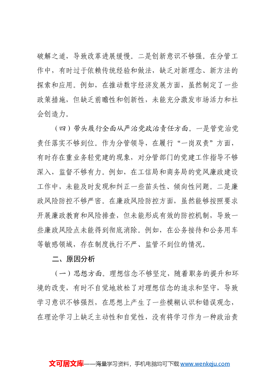县政府班子成员2024年民主生活会个人对照检查发言材料(四个带头).docx,第3页预览