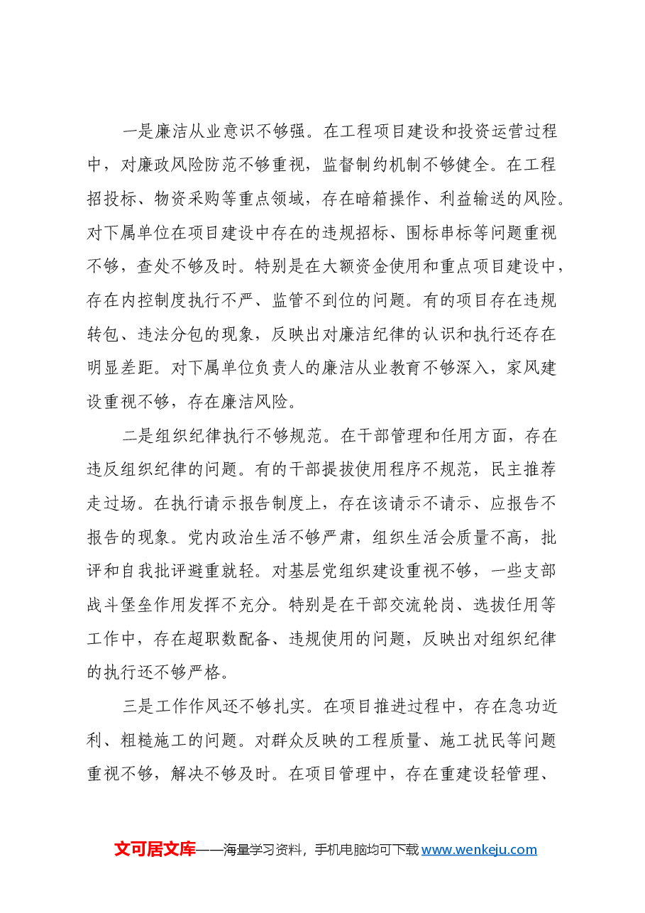 县城投公司党委书记2024年度民主生活会个人对照检查材料(四个带头).docx,第3页预览