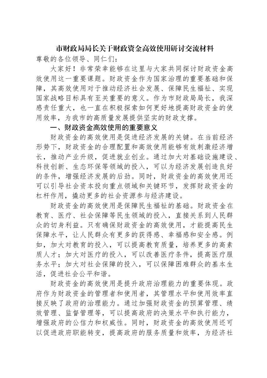 市财政局局长关于财政资金高效使用研讨交流材料.docx,第1页预览