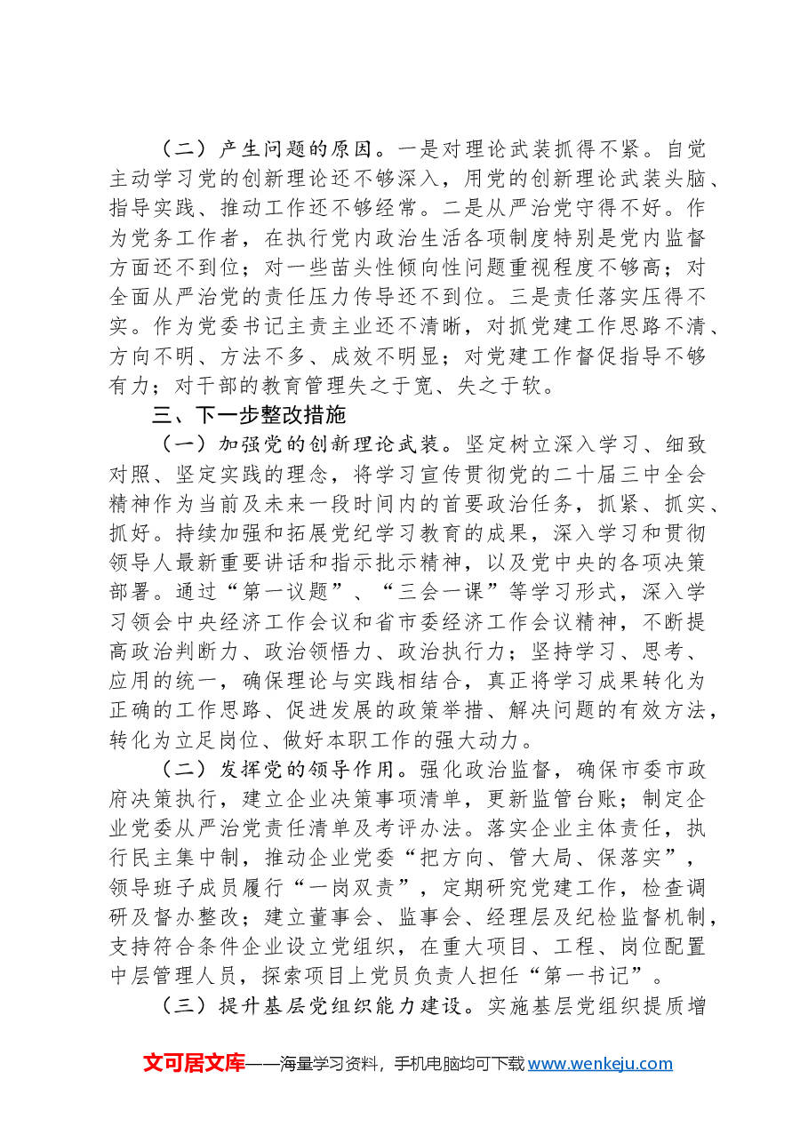 市国资委党委书记2024年抓基层党建工作述职报告.docx,第3页预览