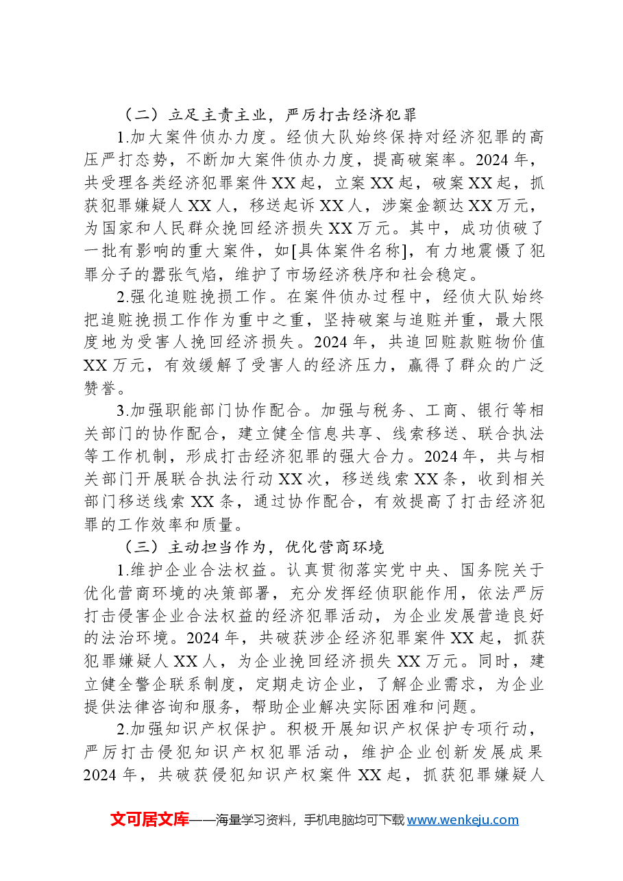 经侦大队2024年工作总结及2025年工作计划.docx,第2页预览