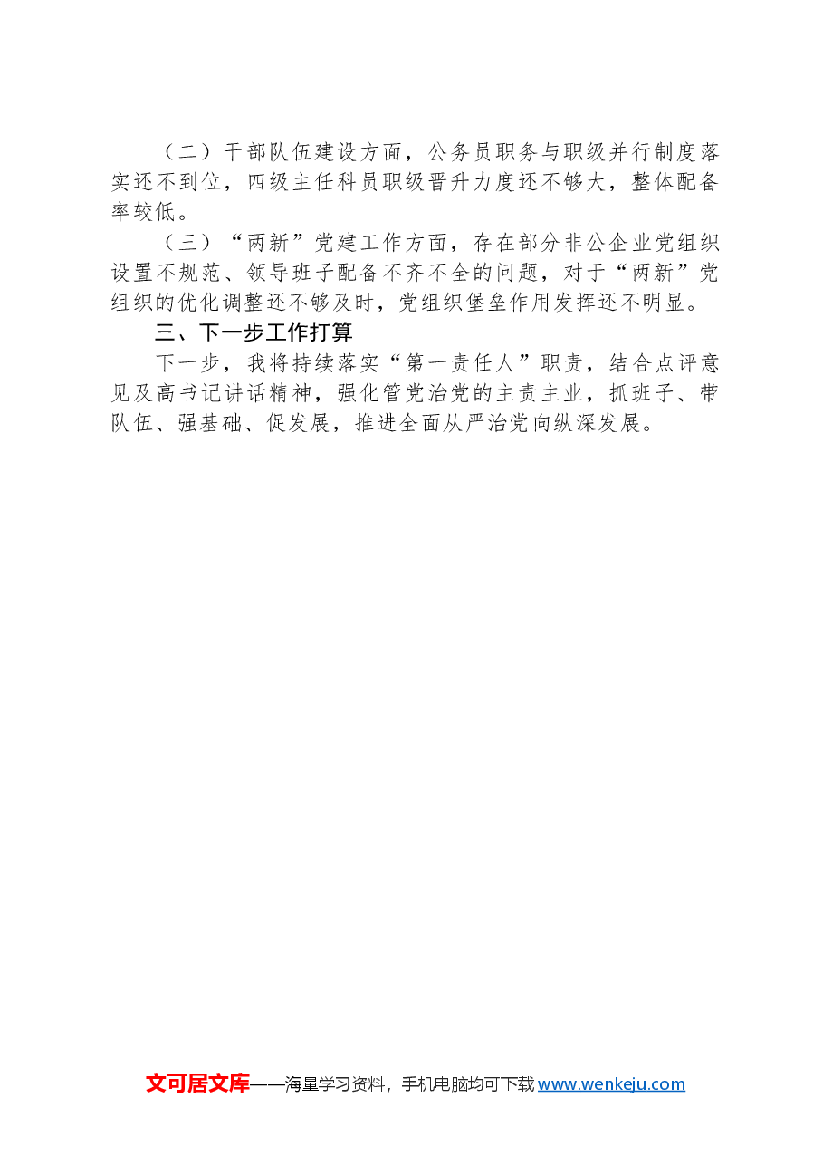 2024年度书记抓党建述职报告.docx,第4页预览