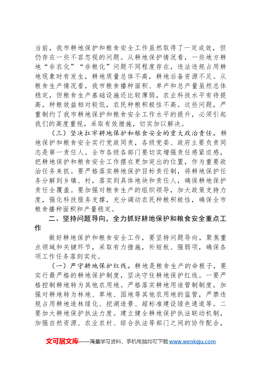 在全市2024年度耕地保护和粮食安全专题工作推进会上的讲话.docx,第2页预览