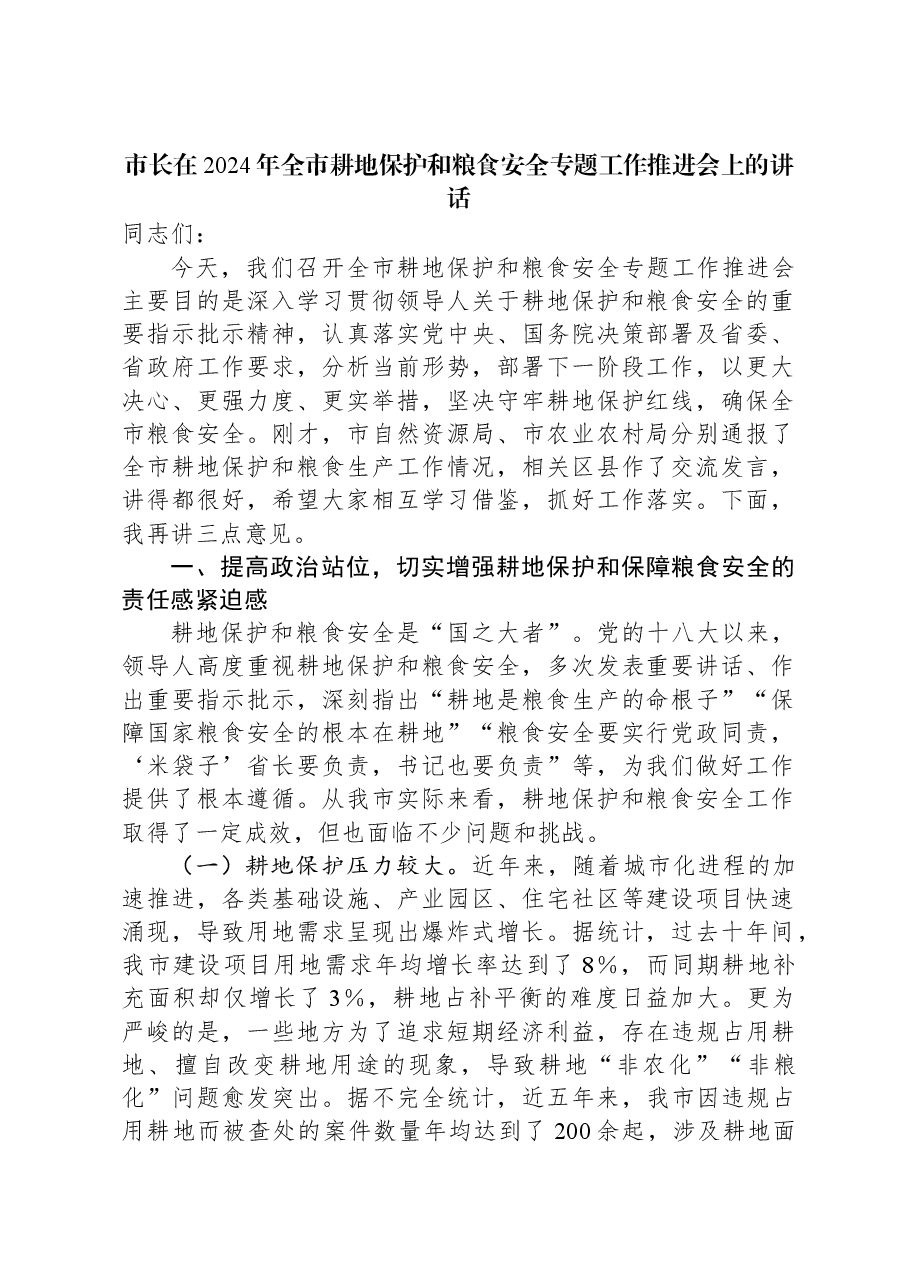 市长在2024年全市耕地保护和粮食安全专题工作推进会上的讲话.docx,第1页预览
