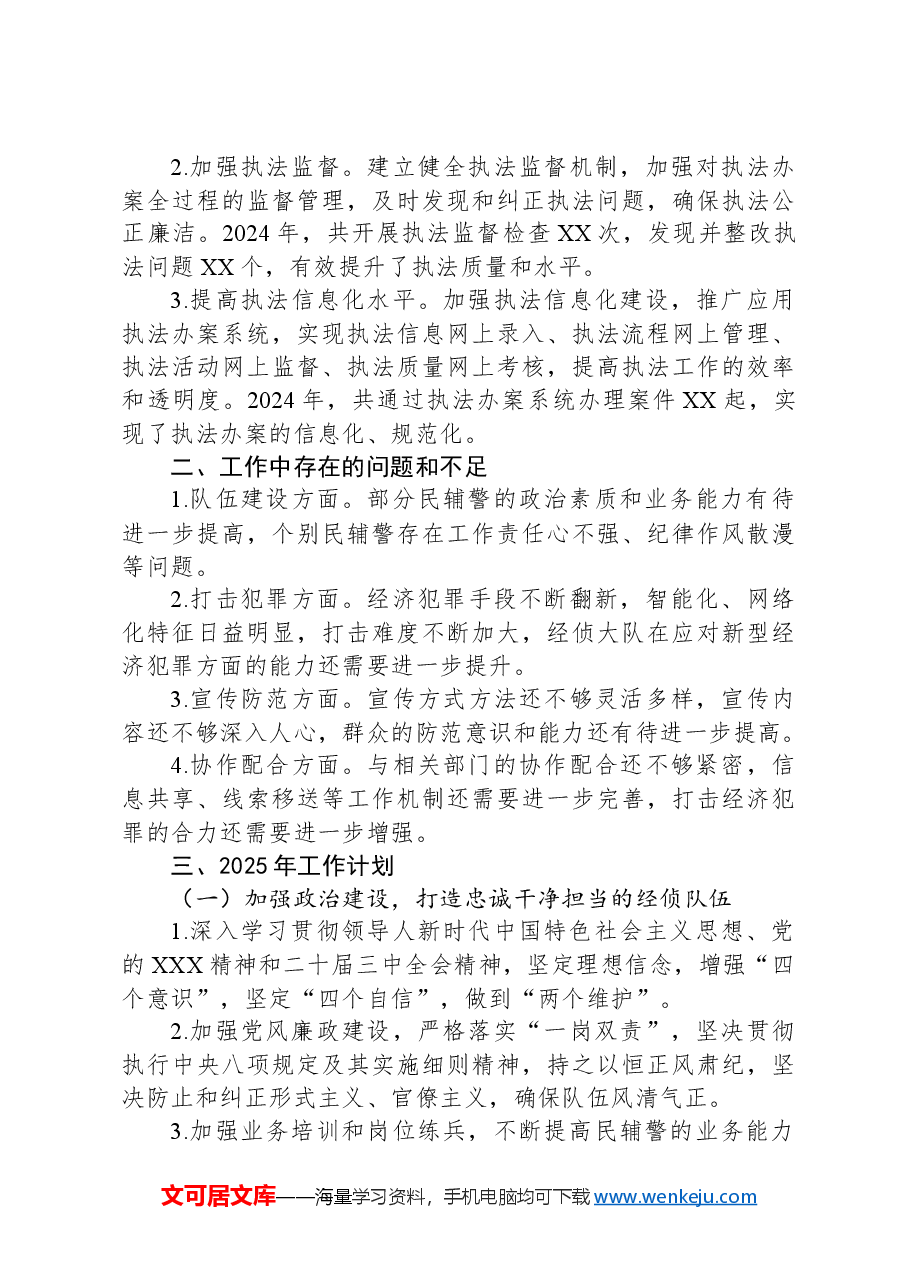 经侦大队2024年工作总结及2025年工作计划.docx,第4页预览