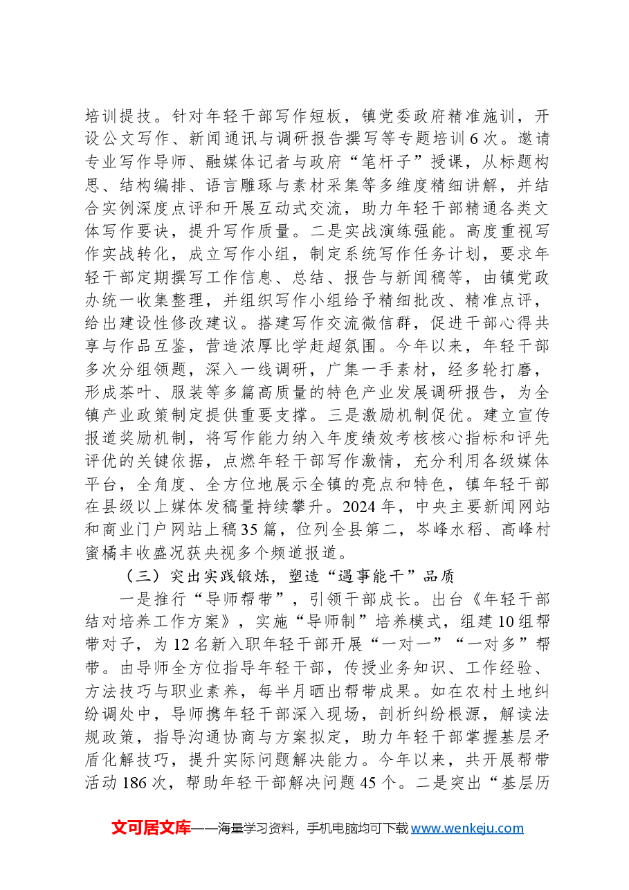 乡镇党委2024年青年干部培养工作总结.docx,第2页预览