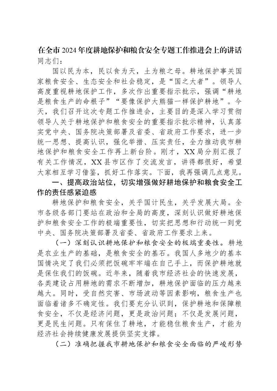 在全市2024年度耕地保护和粮食安全专题工作推进会上的讲话.docx,第1页预览