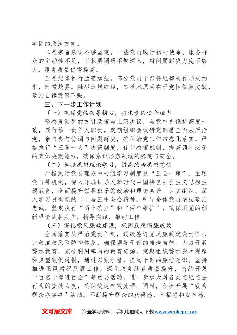 2024年落实全面从严治党主体责任工作情况总结.docx,第3页预览