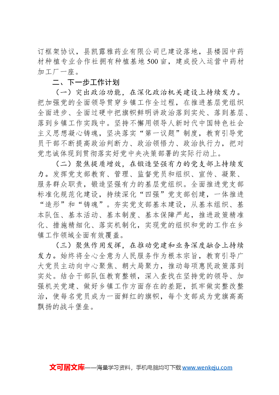 某乡镇党委书记2024年度抓基层党建工作述职报告.docx,第3页预览
