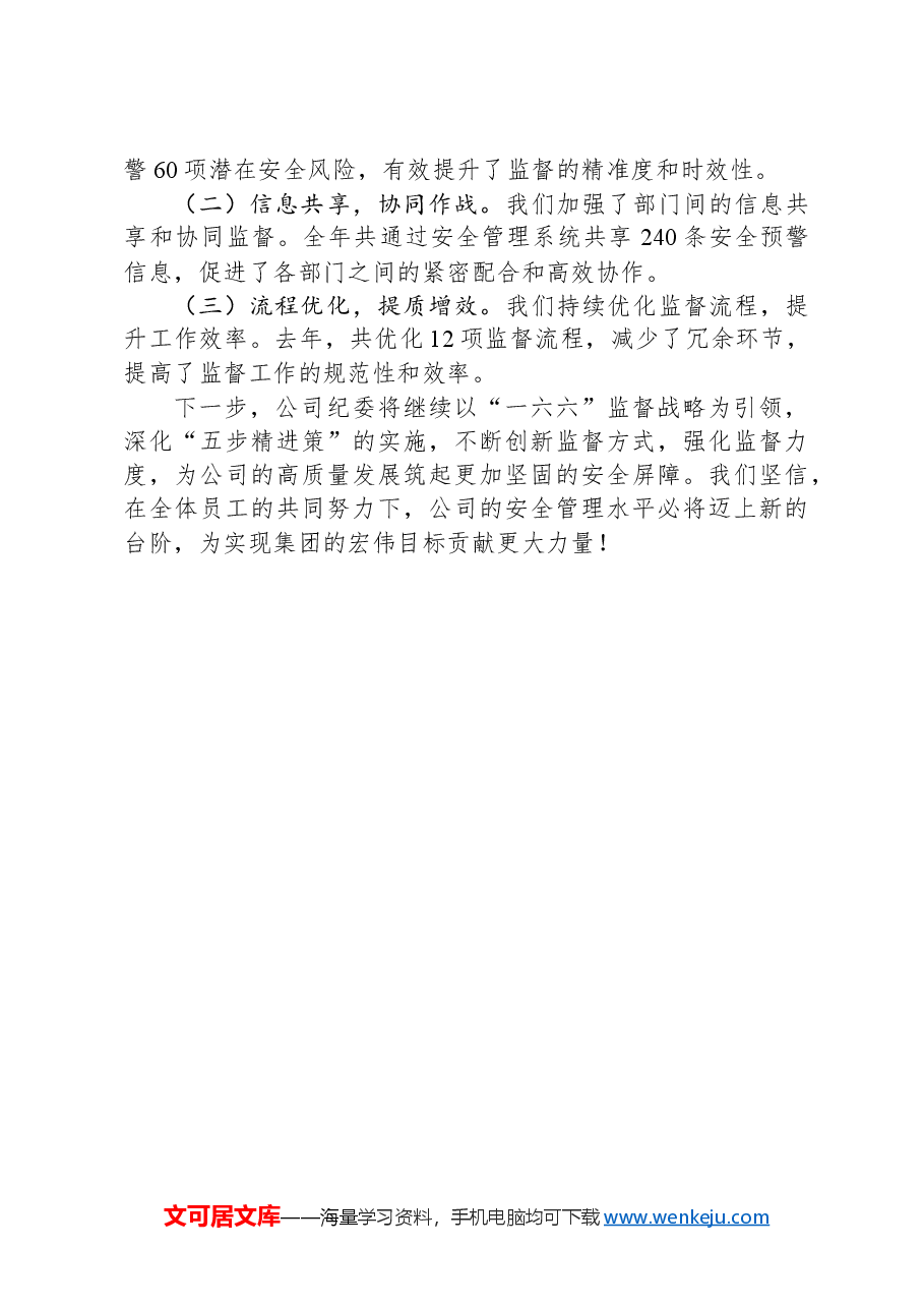公司纪委书记在集团安全管理工作会议上的深度交流发言.docx,第3页预览