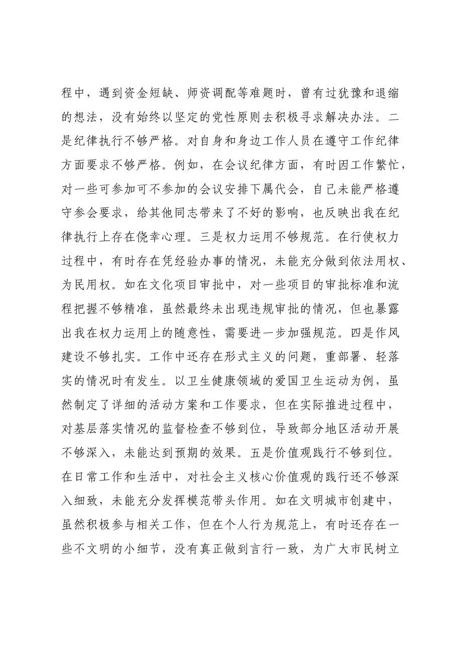 分管教科文卫副市长关于2024年度民主生活会个人对照检视材料案例剖析.docx,第3页预览