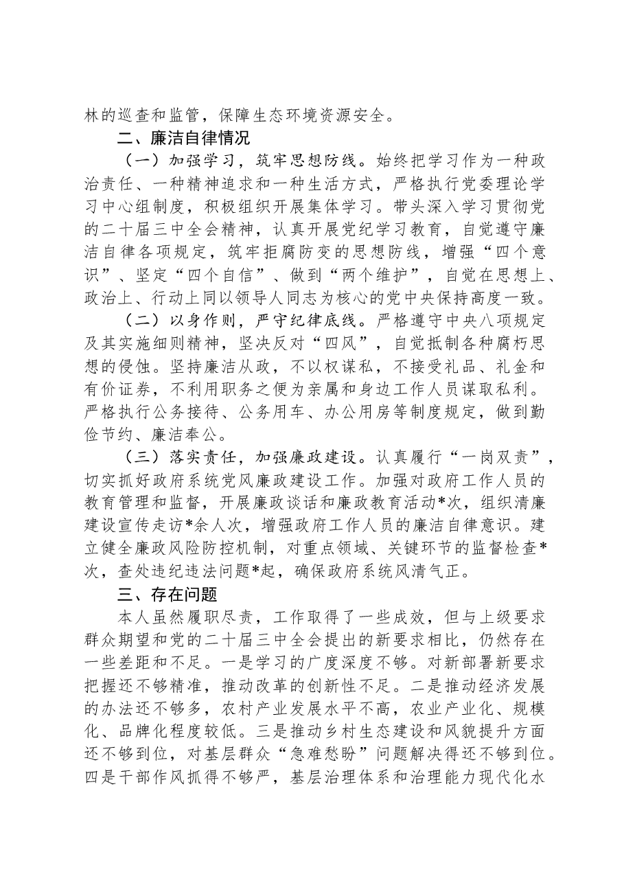 镇长2024年度述职述廉报告.docx,第3页预览
