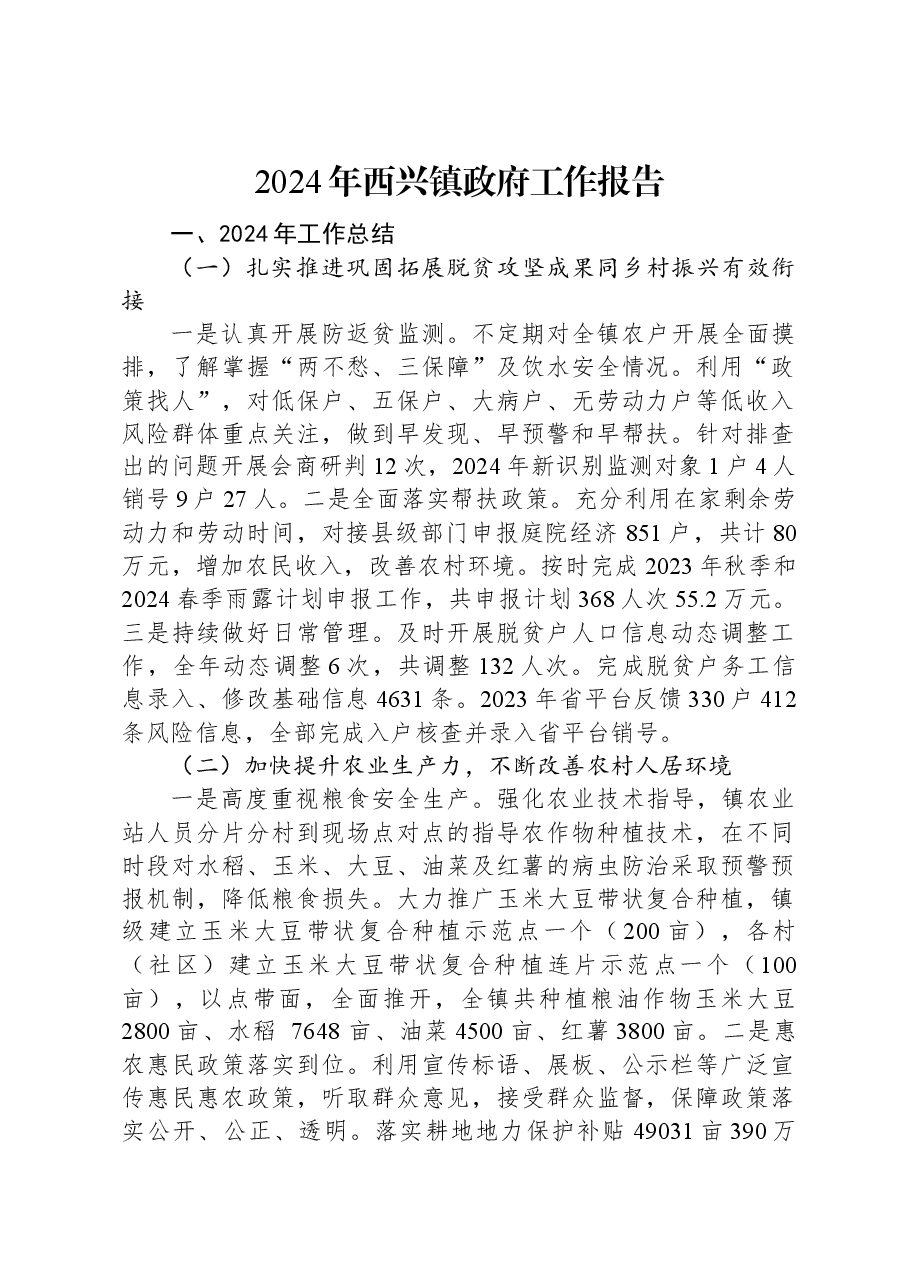 2024年西兴镇政府工作报告.docx,第1页预览