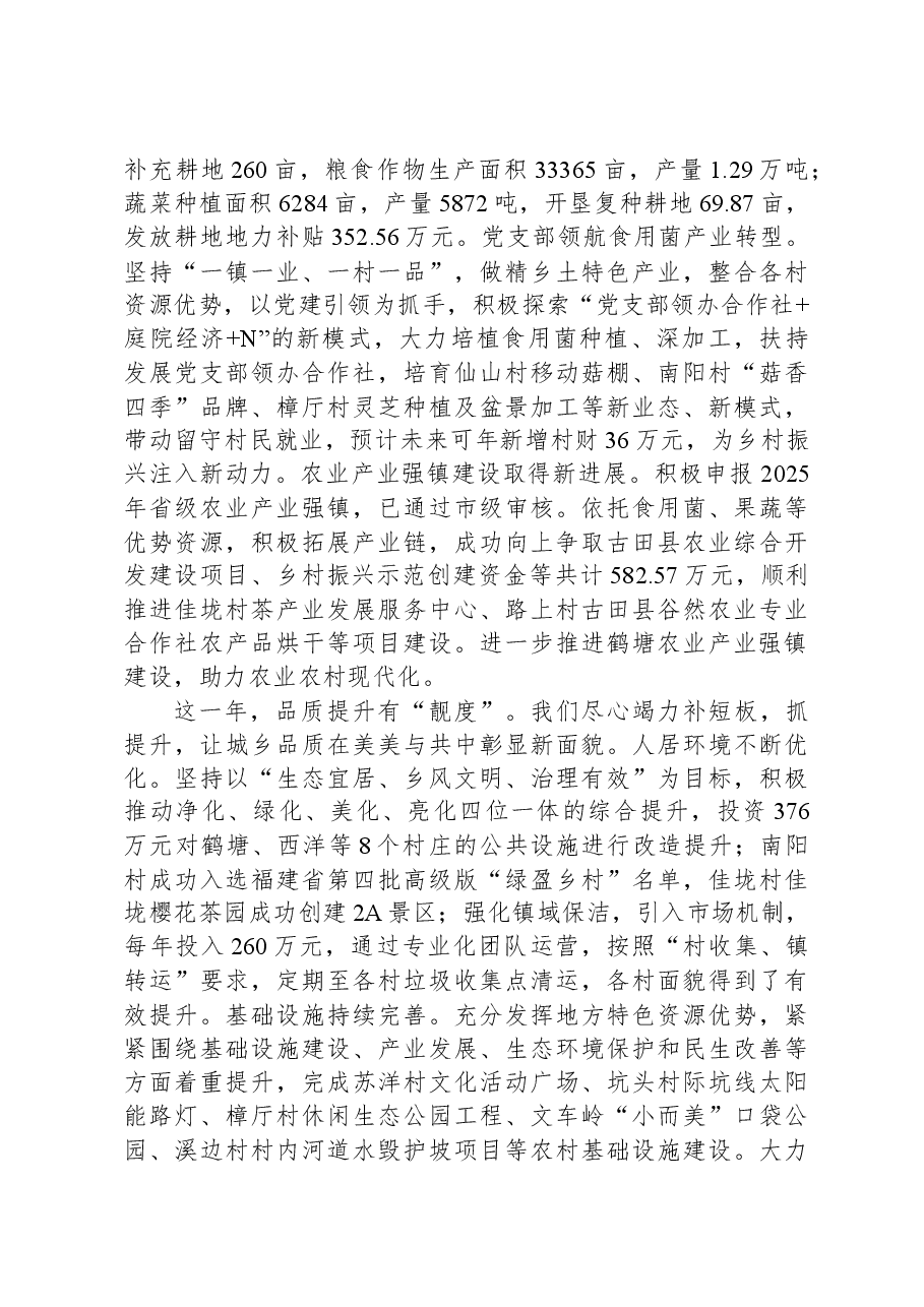 2025年鹤塘镇政府工作报告.docx,第2页预览