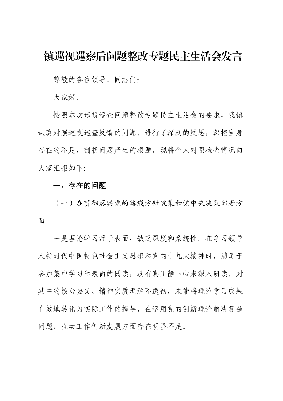 镇巡视巡察后问题整改专题民主生活会发言.docx,第1页预览