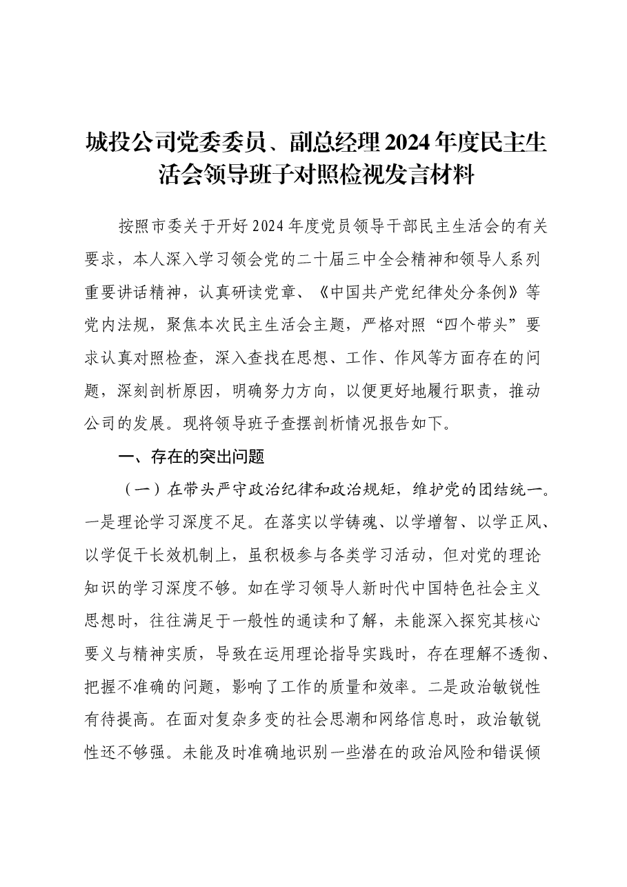 城投公司党委委员、副总经理2024年度民主生活会领导班子对照检视发言材料(四个带头+违纪行为典型案例剖析).docx,第1页预览