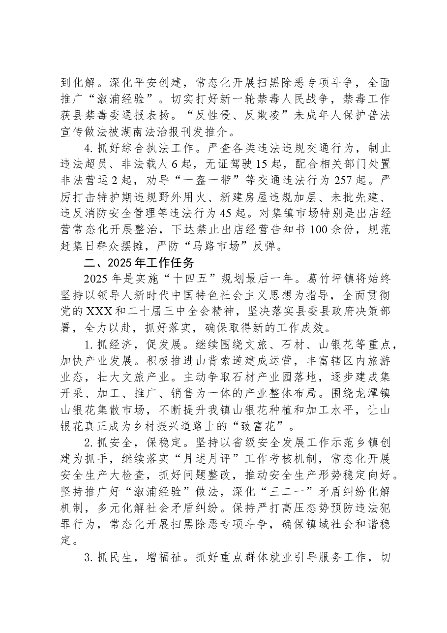 2024年葛竹坪镇政府工作报告.docx,第4页预览