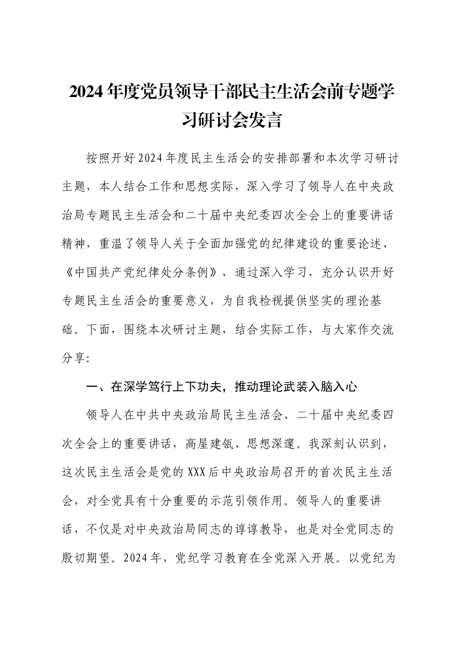 2024年度党员领导干部民主生活会前专题学习研讨会发言.docx,第1页预览