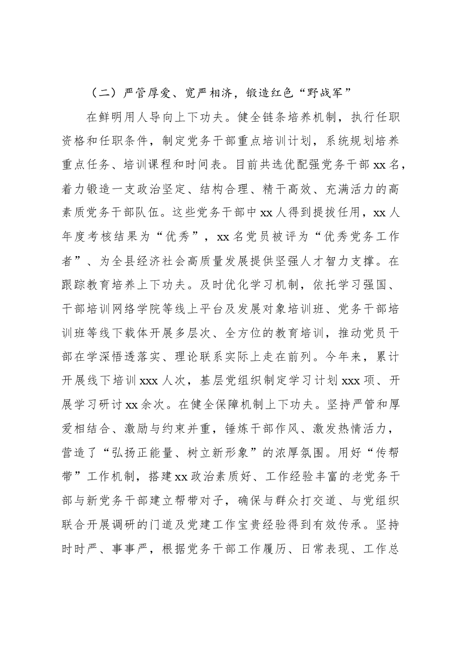 2024年党支部书记抓基层党建工作述职评议报告.docx,第4页预览
