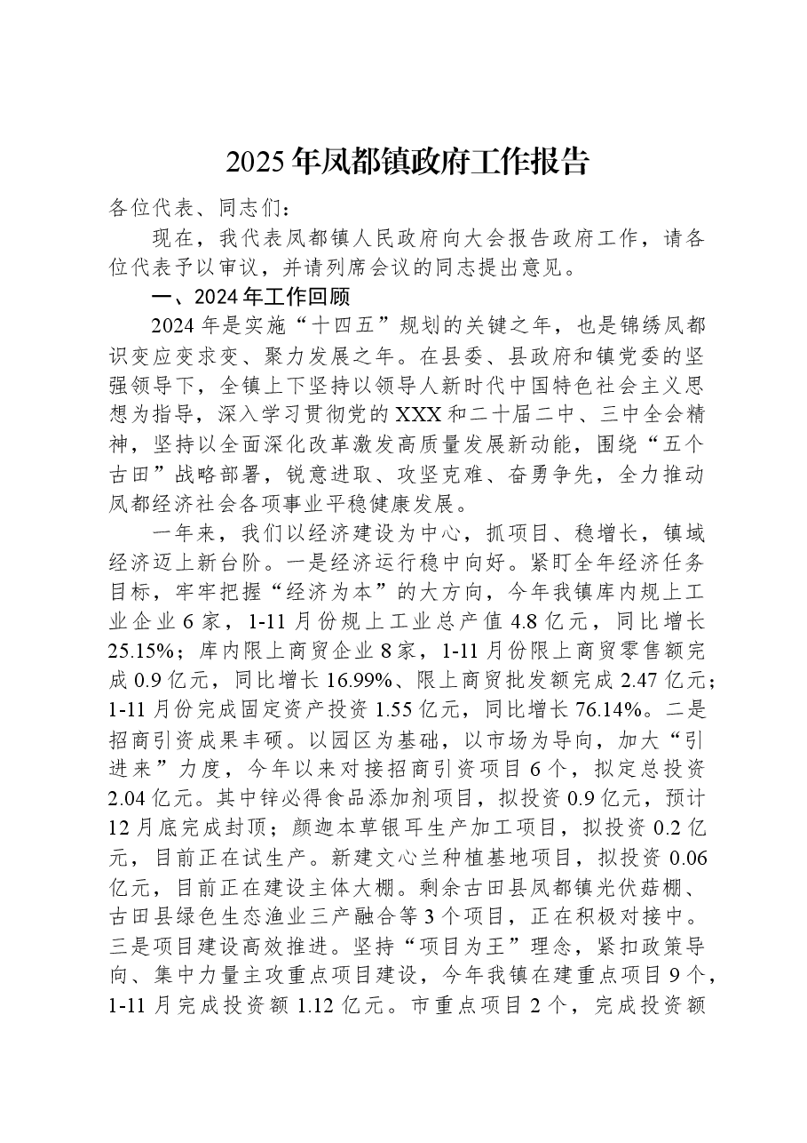 2025年凤都镇政府工作报告.docx,第1页预览