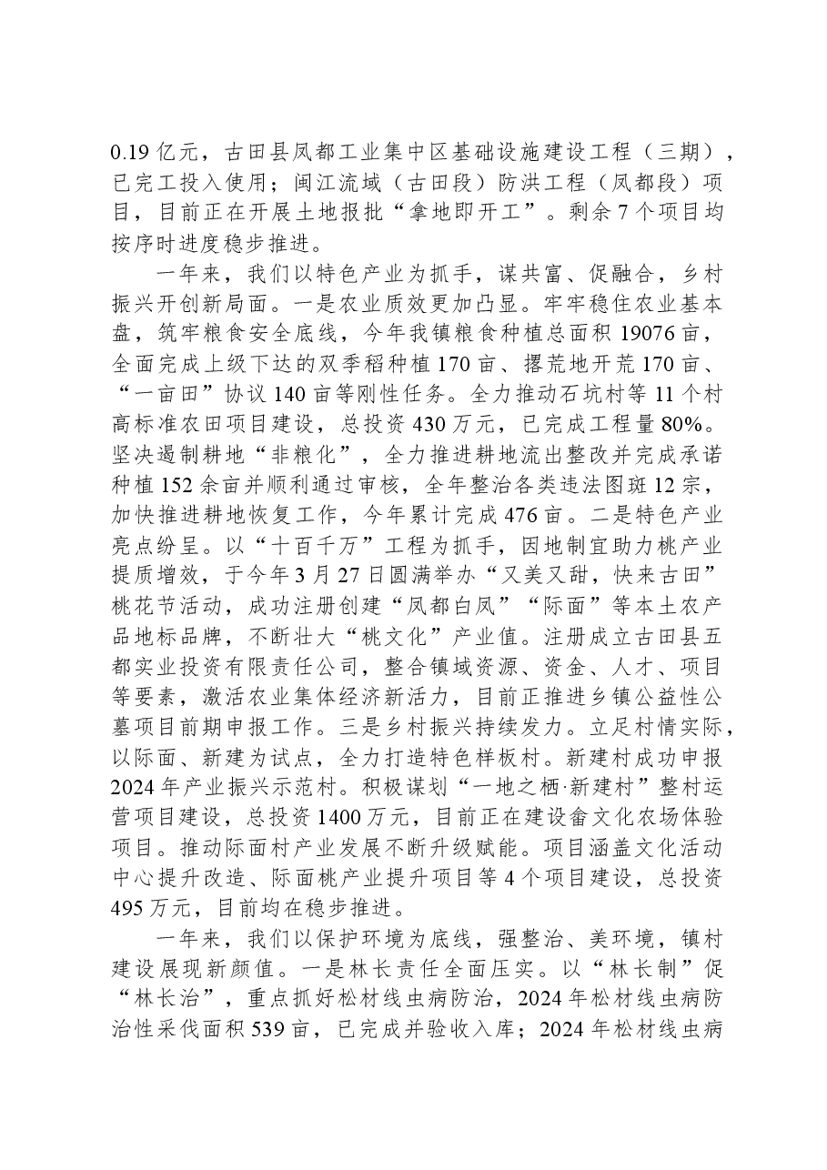 2025年凤都镇政府工作报告.docx,第2页预览