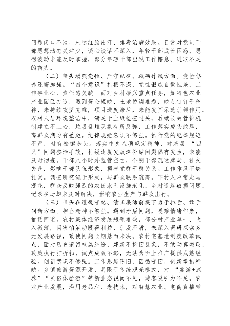 乡镇党委书记2024年专题民主生活会对照检查发言材料(四个带头).docx,第2页预览