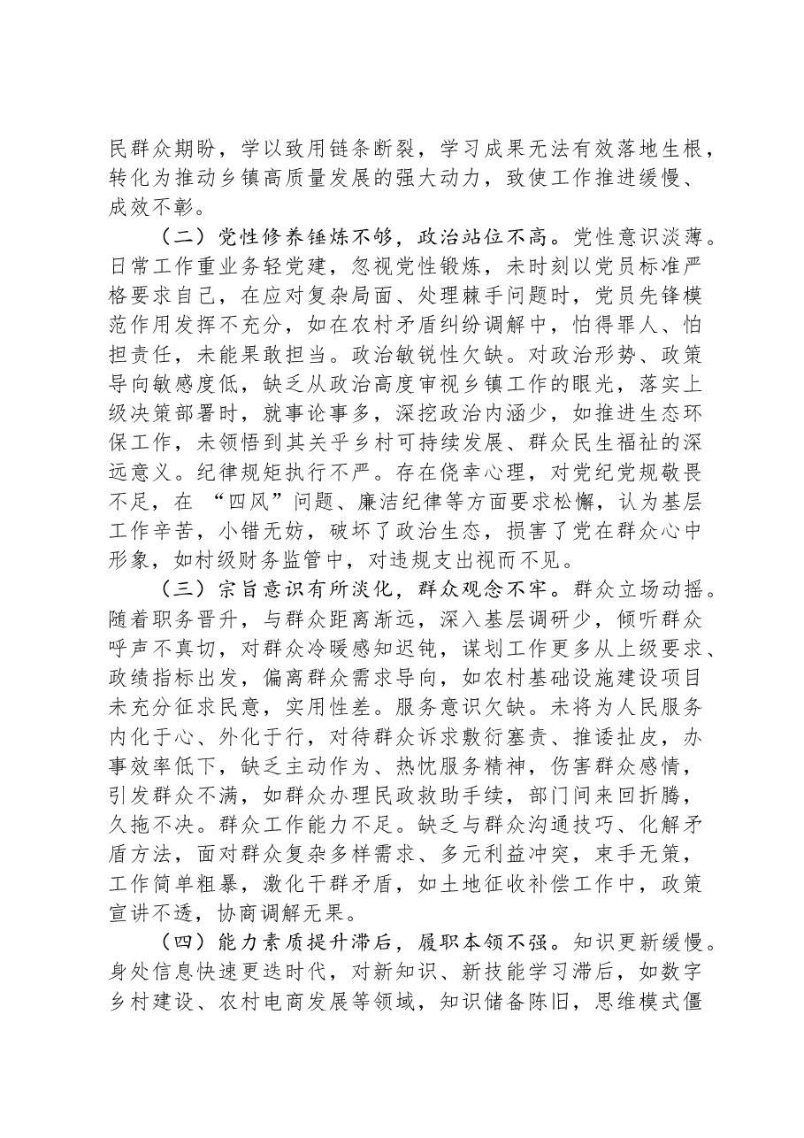 乡镇党委书记2024年专题民主生活会对照检查发言材料(四个带头).docx,第4页预览