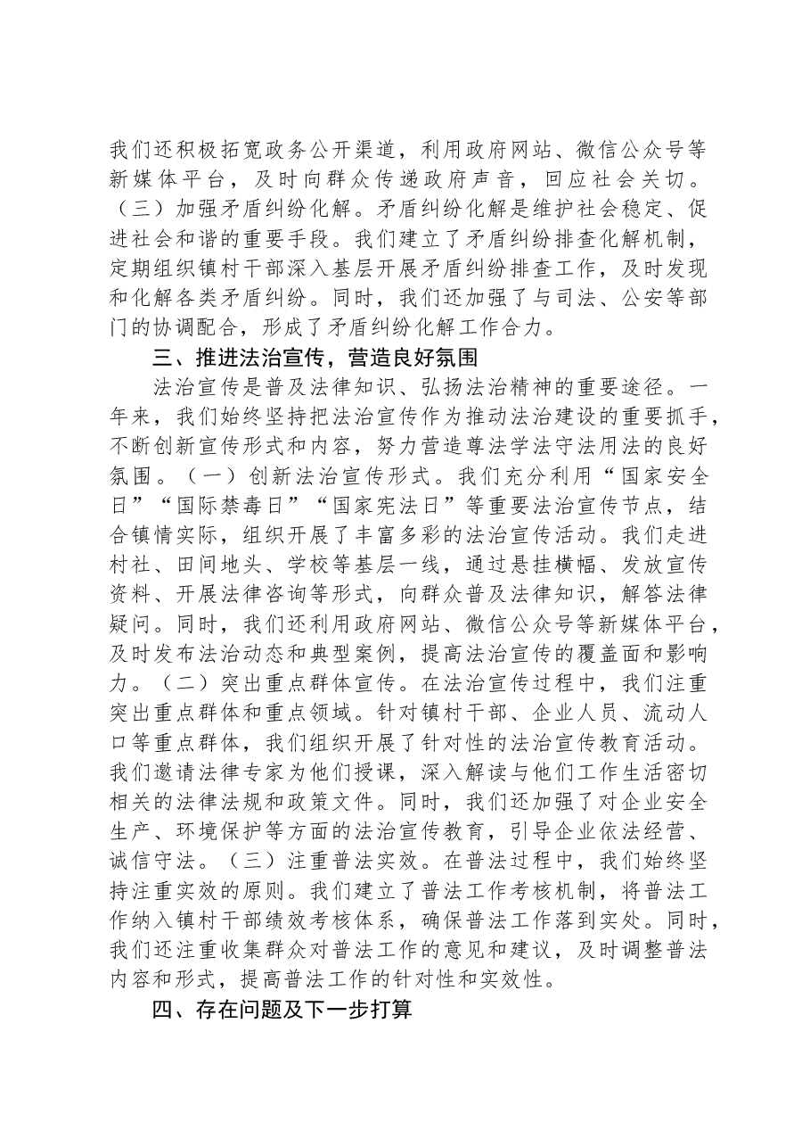 镇长2024年度述法报告.docx,第2页预览