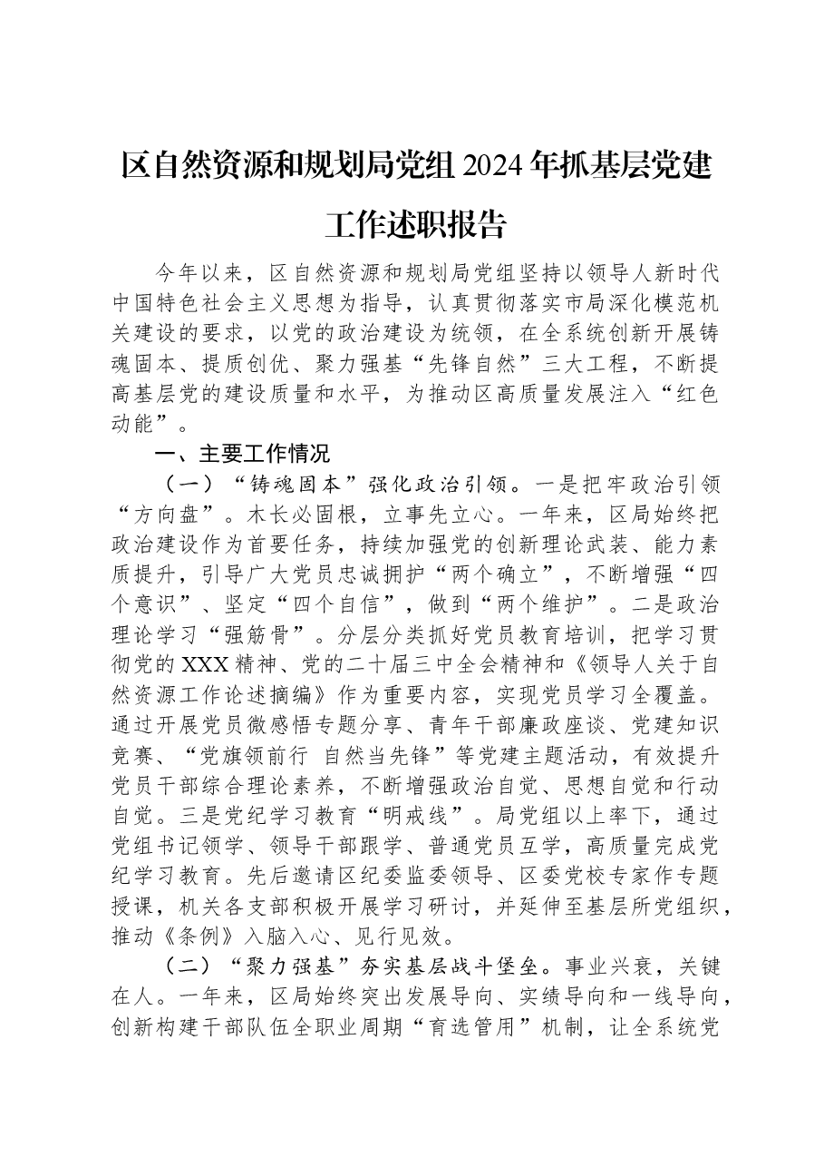 区自然资源和规划局党组2024年抓基层党建工作述职报告.docx,第1页预览
