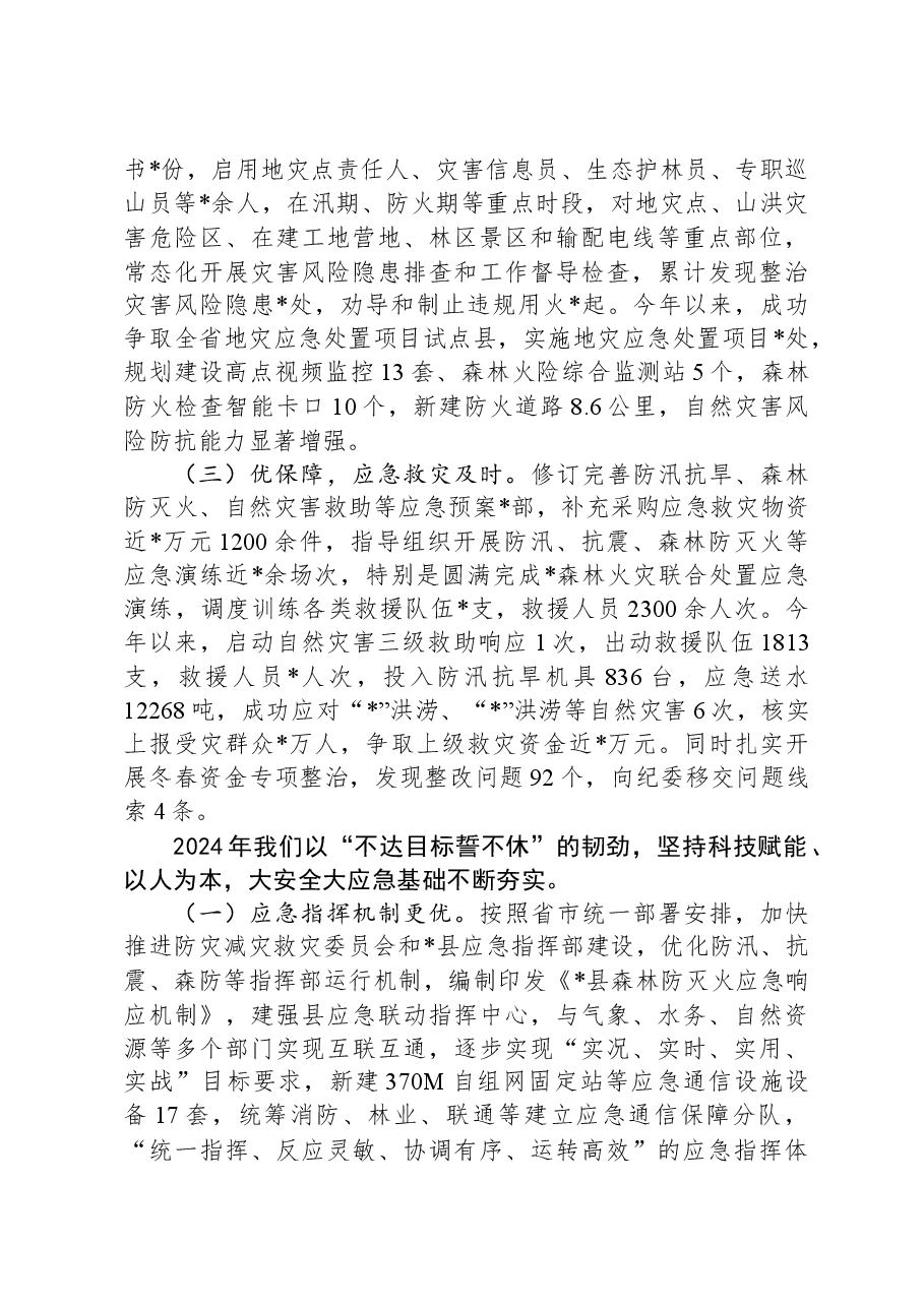 在全市年度应急管理工作会议上的经验交流发言.docx,第3页预览