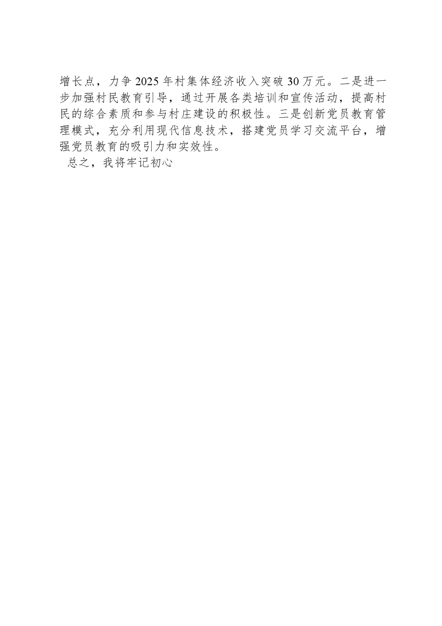 2024年村党支部书记年终述职报告.docx,第4页预览