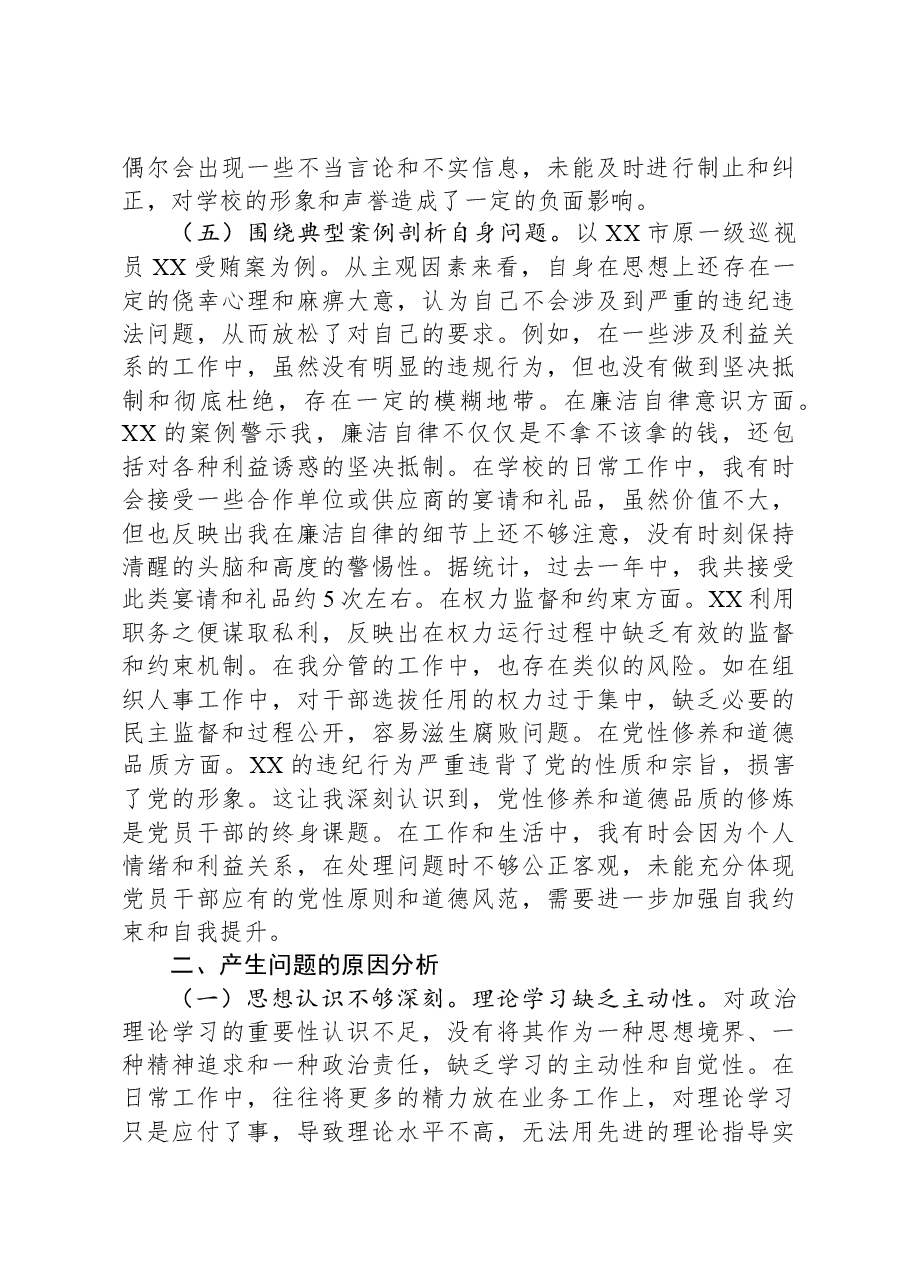 党委副书记2024年度民主生活会个人对照检视发言材料.docx,第4页预览