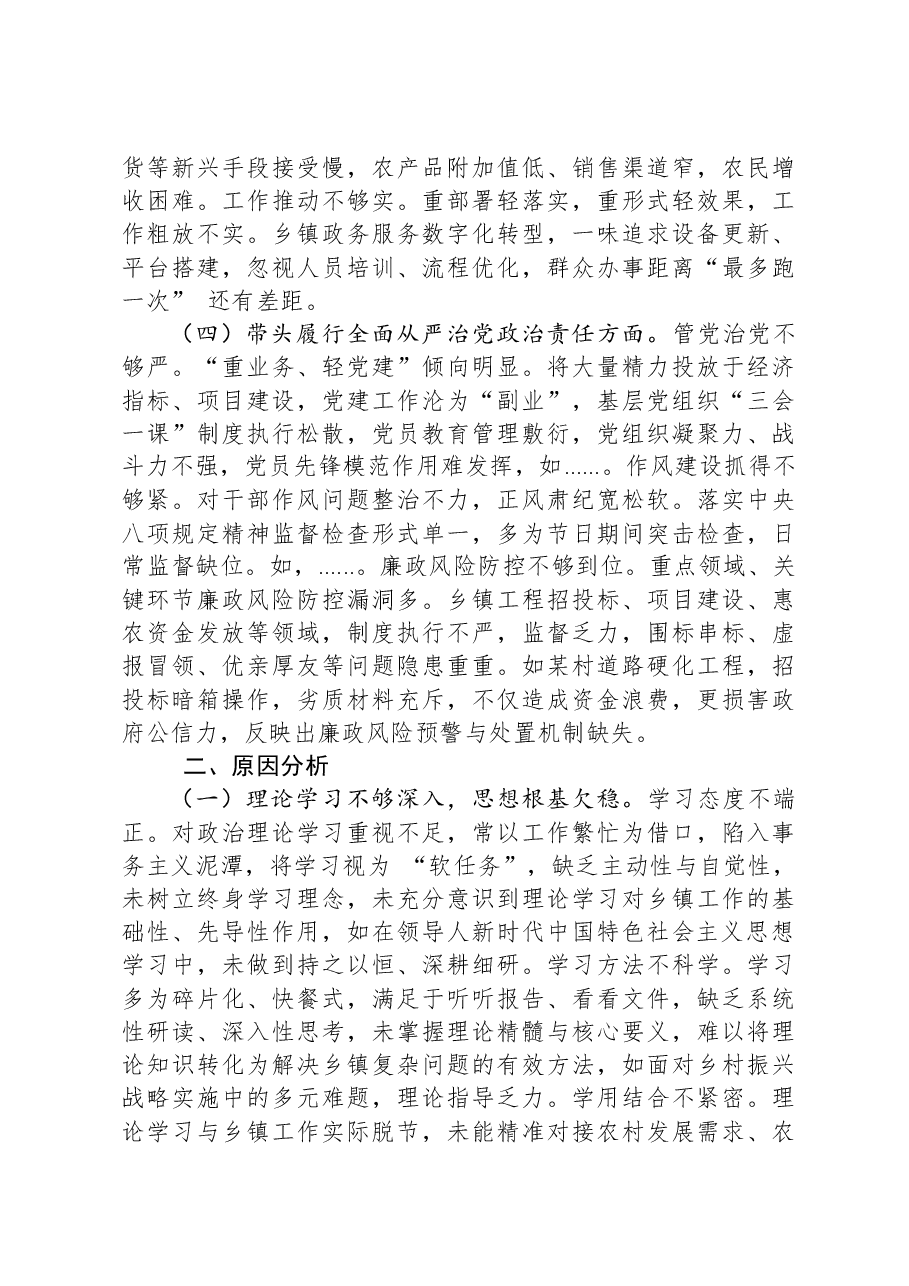乡镇党委书记2024年专题民主生活会对照检查发言材料(四个带头).docx,第3页预览