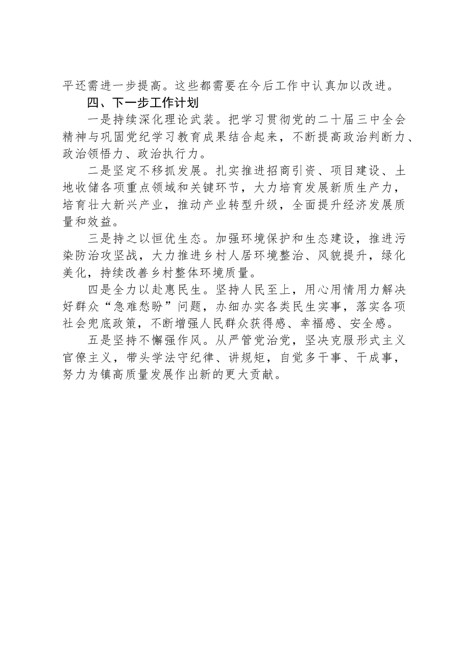 镇长2024年度述职述廉报告.docx,第4页预览