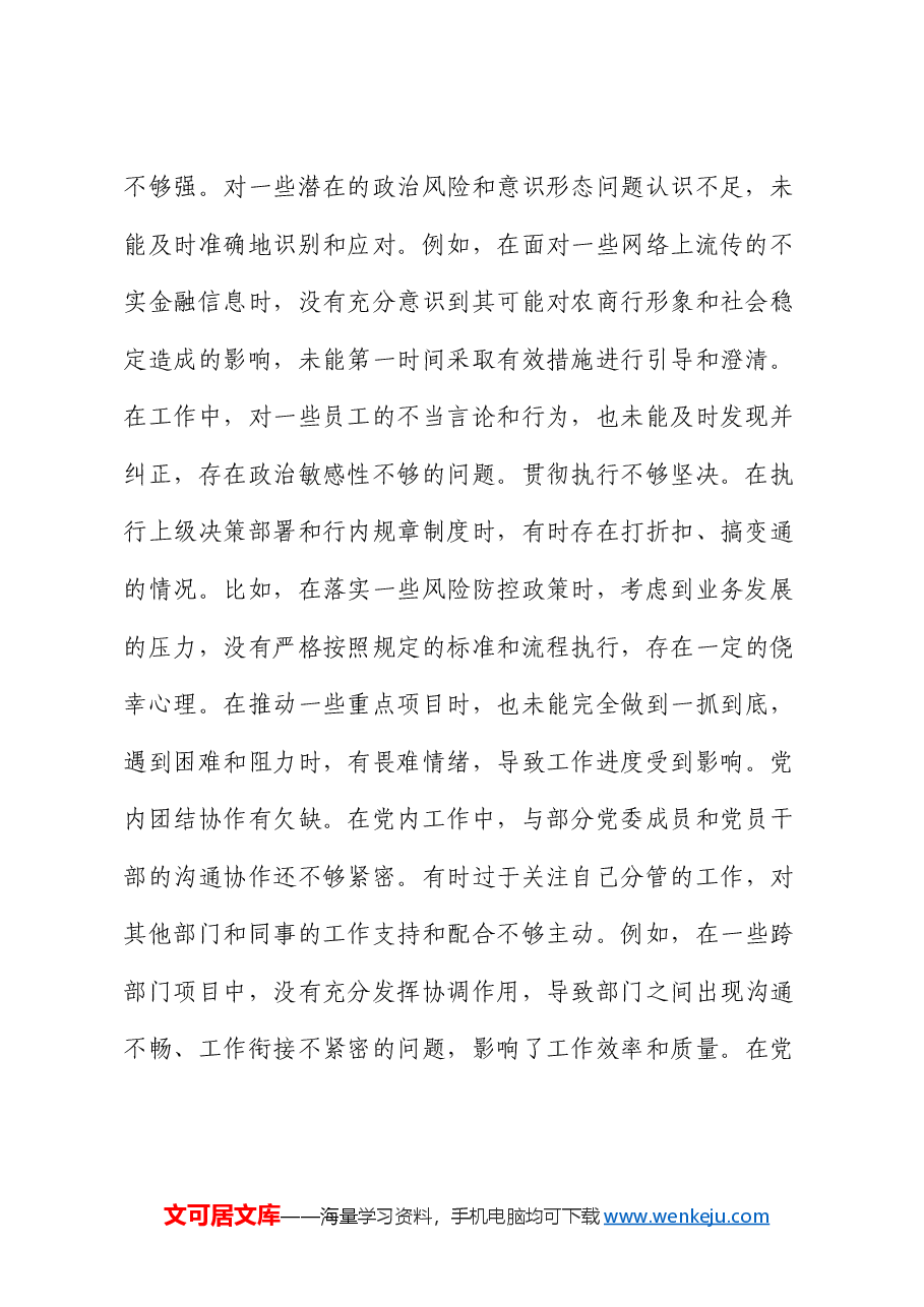 某银行党委副书记2024年度民主生活会个人对照检视发言材料.docx,第2页预览